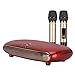 YWSZJ Smart Karaoke Player Wireless Karaoke Box System Miscelatore Mini Family Home Karaoke Microfono per Macchine da Canto per TV per TV PC