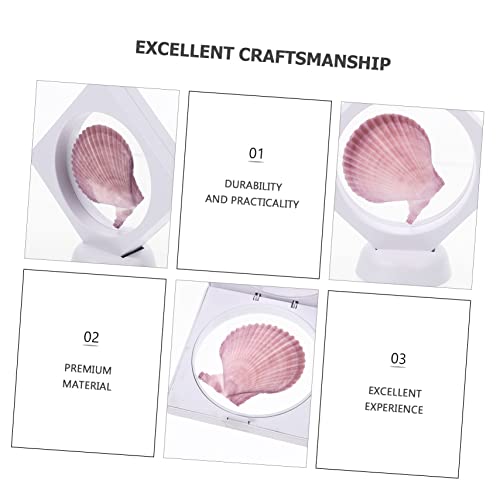 Conchas naturales decorativas para centros de mesa y adornos de hogar estilo costero mediterráneo 8
