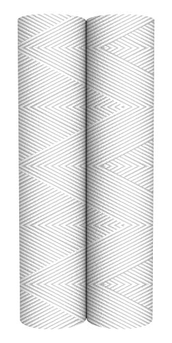 Pentair OMNIFilter RS7 Sediment Water Filter, 10-Inch, Standard Whole House String Wound Sediment Replacement Cartridge, 10\'\' x 2.5\'\', 40 Micron, Pack of 2, White - Thumbnail 2