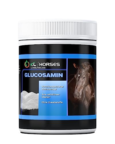 Kräuterland Glucosamin Pulver für Pferde - 1kg Glucosaminsulfat Pulver, hochrein und hochdosiert - Futterzusatz in Premium Qualität