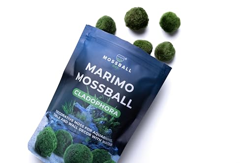 6 Stk Moos Aquarium Moos Echt - Mooskugeln Für Aquarium Echt Cladophora Natürliche Wasserpflanzen Für Nano- Und Große Aquarien - Umweltfreundlich Und Nachhaltig Marimo Moss Balls Gr. 2-3 Cm