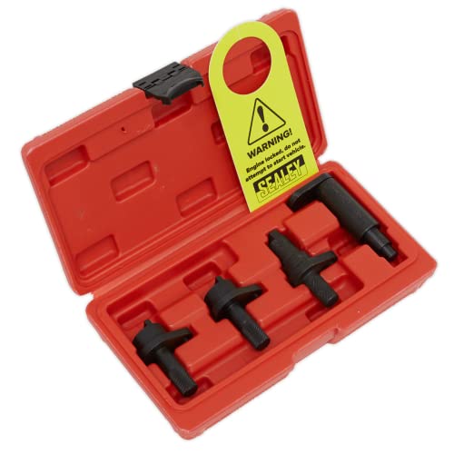 Kit de montage pour moteur à essence Sealey VSE5921 pour résoudre les décalages de chaîne