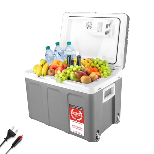 TZS First Austria Nevera eléctrica 45 litros | conexión de 12 V y 230 V | con enchufe de 12 V para el coche | para camping, festivales y viajes | con función de enfriar y mantener caliente | gris