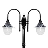 HONY-LIGHT