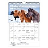 Ideal también como regalo o pequeño detalle con el que permanecerás 12 meses en un recuerdo positivo.