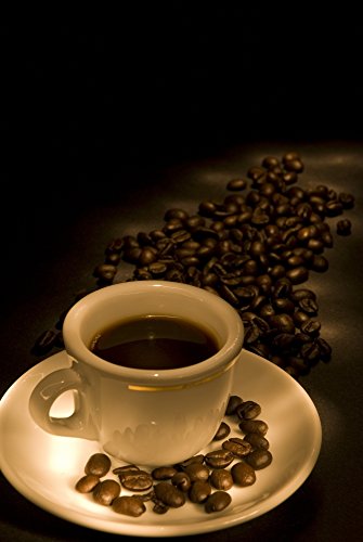 Calgary Alberta Canada Coffee Beans Poster 11x17