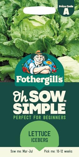 Fothergill's Oh Sow Simple, Lettuce Iceburg/Crisphead Vegetable Seeds, Sow: Mar–Jul, Light Green