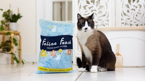 North Star Pets CL01 Feline Fresh Premium Crystal Cat Litter thumb #5