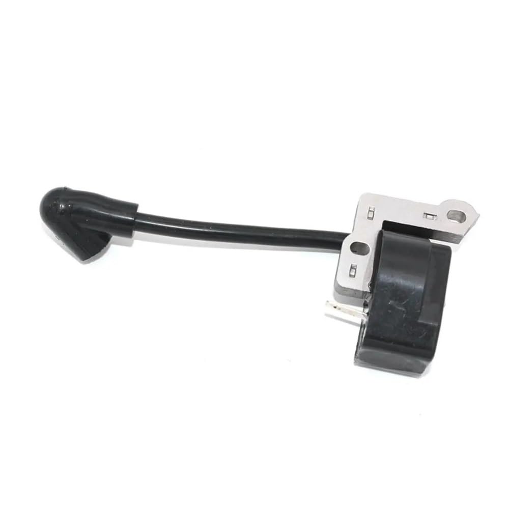 Module d'allumage adapté pour RY39505 850108015 rechange