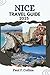 NICE TRAVEL GUIDE: Everything You Need To Know To Have An Amazing Journey From Accommodation, Dishes To Transportation Tips (PAUL COLLINS TRAVELS ENG)