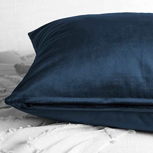 Image of HPD Half Price Drapes Cushion Cover 18 x 18 Heritage Plush Velvet - VPYC-179910-CC18PR - Pair, Eternal Blue