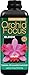 Produktbild Orchid Focus Bloom 1 Liter