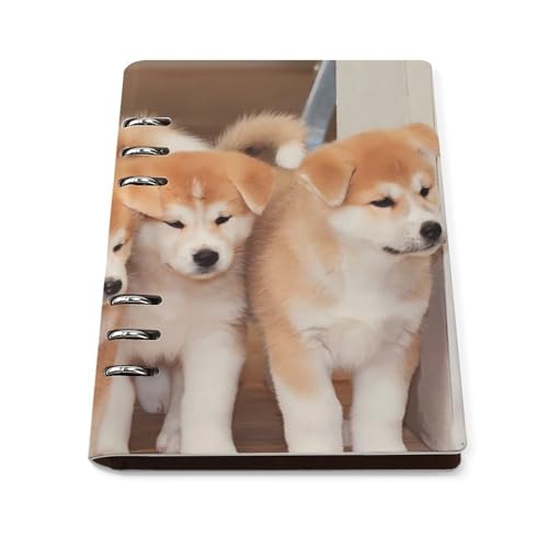 Č [Y[t 炳珑  _CA[ m[g LpXm[g pr L A5 L