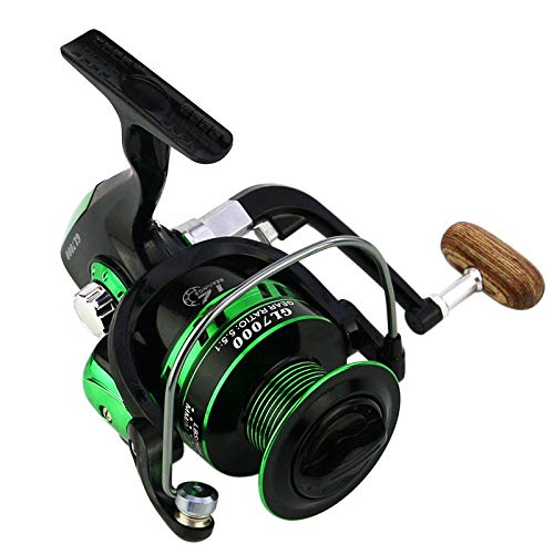 Roue à poissons GL6000 moulinet de pêche mer et eau douce