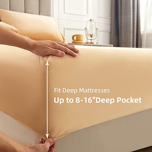 Velvet Flannel Fitted Sheet Twin Size,Super Soft Thickened Fleece Plush Bed Sheet Mattress Protector Cover,Warm Bed Fitted Sheets With 8-16" Deep Pocket,1 Pack Fitted Sheet Only（Camel） #TOP5
