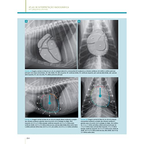 Atlas de Interpretação Radiográfica em Pequenos Animais, 2ª Edição 2022