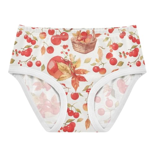 Wusikd Apples Cherries Girls' Underwear Cotton Baskets Girls Briefs Soft Toddler Underwear 2T