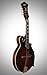 Ibanez M522 - Dark Violin Sunburst Gloss