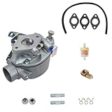 NiuLumea Carburador 533969M91 Modelos de tractor MF35 MH50 MF135 MF150 TSX882 TSX33 8N9510C, con tubo de llenado de aceite, filtro de aceite, juntas, juntas tóricas, tuercas y pilares