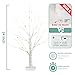 EAMBRITE Home Decorations Light Up White Birch Tree Indoor Christmas Decor, 4 Pack Battery Operated/USB Lighted Tabletop Money Tree Lamp Led Lights Xmas Wedding Centerpiece Table Room (2 Ft)