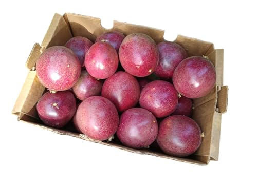 Vitalem – Caja de Maracuyá 1.5kg | Fruta de la Pasión | Fruta Fresca Tropical de Temporada | 100% Natural y Sostenible | Cultivo Local Málaga | Passion Fruit Ideal para Smothies, Batidos y Yogurt