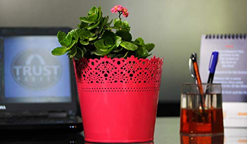 Image of TrustBasket Lace Planter-Set of 5 (Yellow, Teal, Red, Orange, Purple)