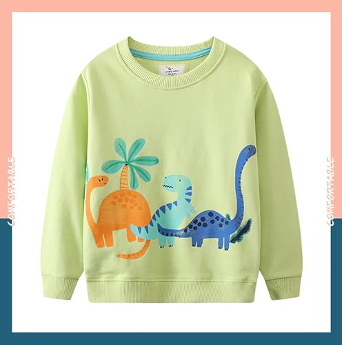 Boys Sweatshirts Casual Sweatshirts Cotton Sweatshirts Long Sleeve T-shirts Crew Neck Cartoon Tops for Boys-1553