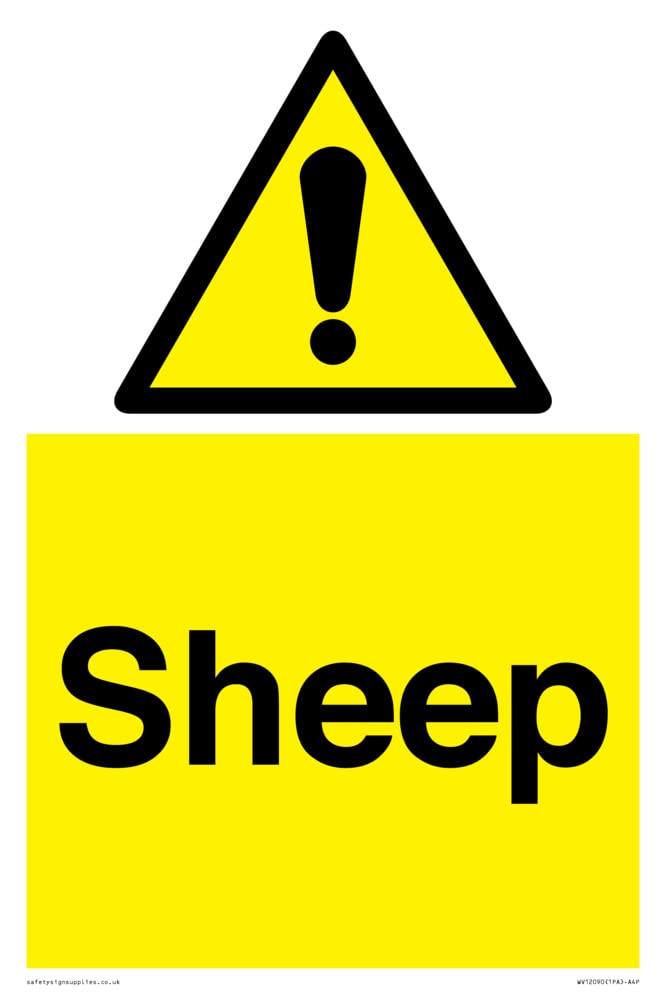 Sheep Sign - 200x300mm - A4P