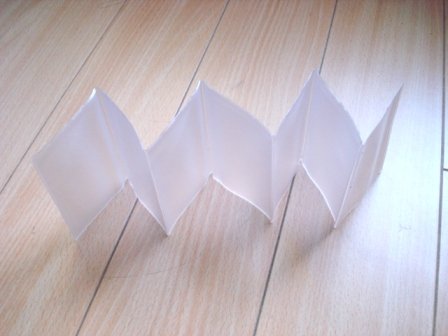 Trifold or Bifold Wallet Accordian Insert (7 Pages)3