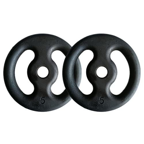 Kit Com 02 Anilhas De Ferro Fundido De 5kg