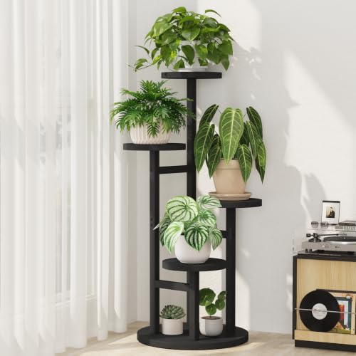 View 2