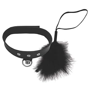 Sex & Mischief S & M Sex Kitten Kit, per stuk verpakt