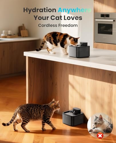 Image of oneisall 2.2L Wireless Cat Fountains with 6 Filters for Small Cats & Dogs