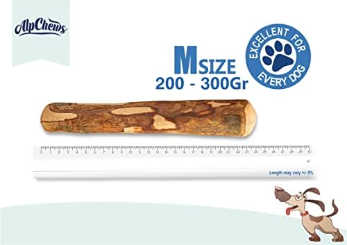 Alp Chews Olive Wood Dog Chews Medium Pack of 2 Olive Branch for Dogs