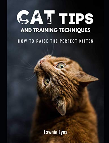 Cat Tips and Training Techniques: How To Raise The Perfect Kitten