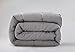 EVOLIVE All Season Pre Washed Soft Microfiber White Goose Down Alternative Comforter with Box Stitching (Grey, King)