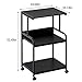 Arbuxzuy Printer Stand with Storage Shelf,3 Tier Printer Cart with Wheels,Mobile Printer Table for Home Office,Stands for Heat Press Scanner Fax,Industrial Style (Black)