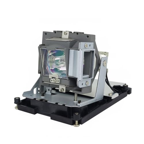 5J.J0W05.001 �v���W�F�N�^�[�����v W1000 W1000+�Ή�