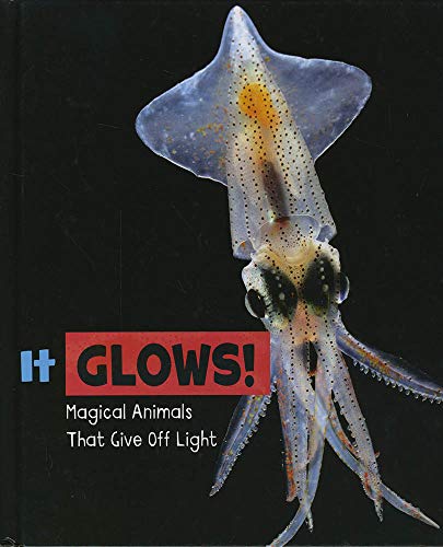 It Glows Magical Animals That Give Light
