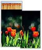 Tulips Decorative Matchboxes with Wooden Matches - Great for Lighting Candles, Fireplaces, Grills and More | Set of 2