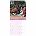 Carousel Worldwide, National Trust Seasons 2026 Square Wall Calendar