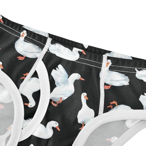 Little Boys Briefs Cute Duck Soft Cotton Toddler Underwear in Sizes 2/3t, 4t, 5t, 6 and 84