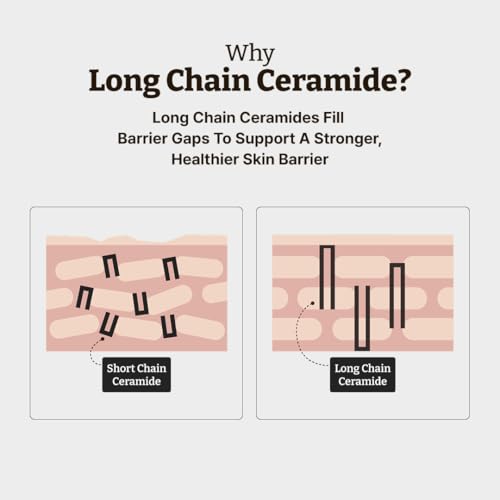 Dr.Reju-All Advanced PDRN Rejuvenating Cream Max + Retino-Mela Serum + LC-Ceramide Cream - 99% Pure Salmon DNA PDRN Face Moisturizer - HPR Retinol Serum for Face - Patented Long Chain Ceramide