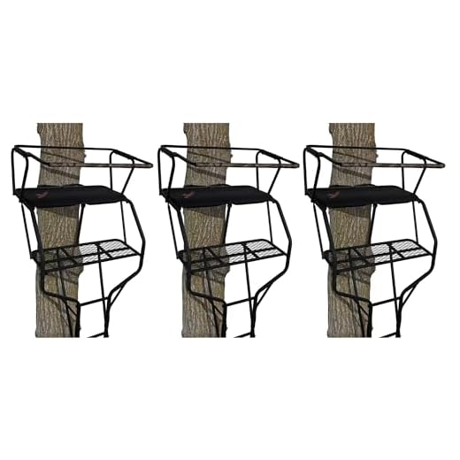 Big Game Guardian DXT High Quality Lightweight Portable 2 Person Hunting Outside Tree Ladder Stand, 18 Foot Tall Climbing System (3 Pack)
