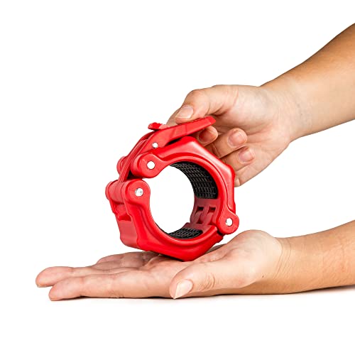 Earwaves ® PRO Lockers - blocca-Dischi per