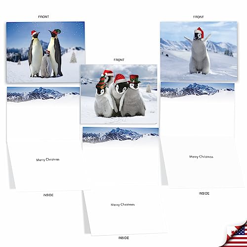Image of The Best Card Company - 10 Holiday Note Cards for Christmas - Festive Bulk Assortment, Boxed Notecards with Envelopes (4 x 5.12 Inch) - Penguins and Greetings M2951XSG
