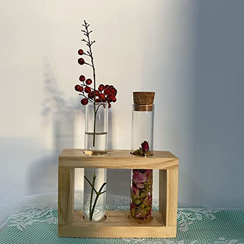 Glass Tea Infuser, Tea Strainer For Loose Leaf Tea（0.98Inx5.12In), Tea Diffuser For Loose Tea, Glass Test Tube Hydroponic Vase/Loose Tea Container With Log Stand #TOP3
