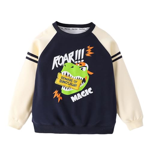 Image of Hopscotch Boys Cotton and Polyester Round Neck Sweatshirts
