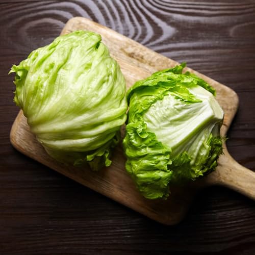 semillas de lechuga iceberg orgánicas - lechuga - para bancales elevados lechuga iceberg fresca de jardín 400pcs