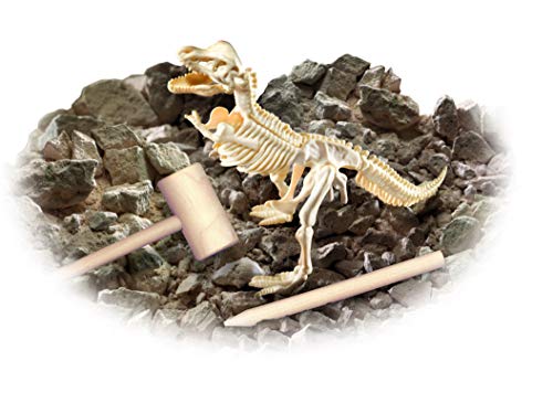 Smithsonian Diggin' Up Dinosaurs T-Rex Plastic Skeleton Set Educational,Fun,Science,Archeological Playset For Kids Age 8 Up #TOP2